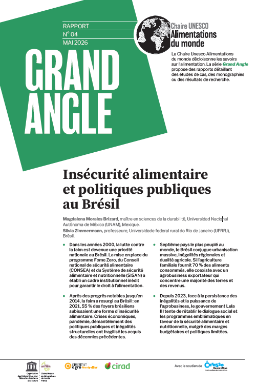 couverture Insécurité alimentaire et politiques publiques au Brésil